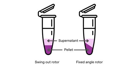 swing out rotor centrifuge|types of rotors in centrifugation.